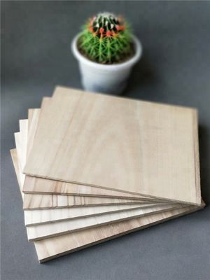 맞춤 로고 서비스와 함께 225*300mm 재부식 태권도 보드