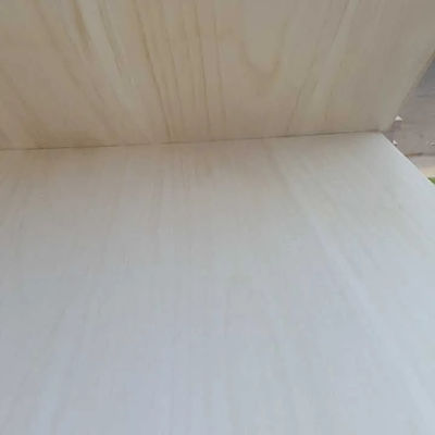 맞춤형 크기 파울루니아 나무 손가락 합동 보드