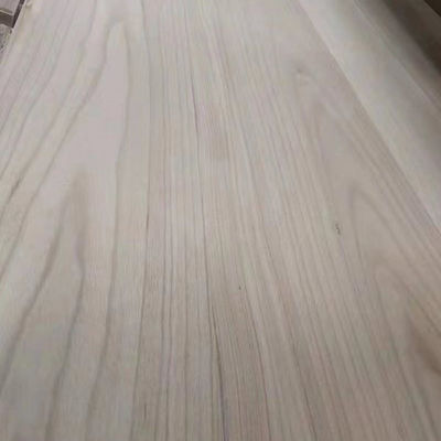 환경 친화적 인 파울루니아