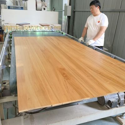 탄화 된 팝러 나무 보드 너비 100-1220mm 온라인 기술 지원