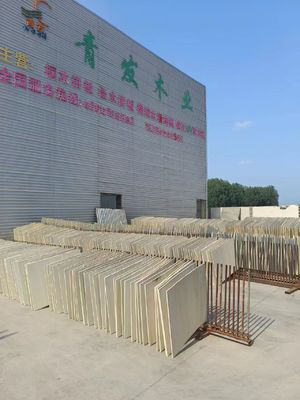 블리치 파울루니아 가장자리 접착판 길이 2000mm / 2440mm / 2500mm / 3050mm / 3660mm