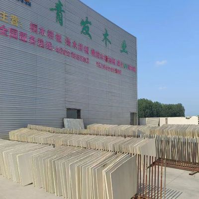 건물 건설 백화 된 파울루니아 토양 목재 4X8 목재판 가격 300kg/m3