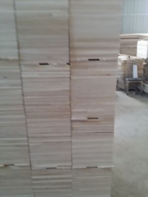 건물 건축 가구 파울루니아 밀도 300kg/m3의 단단한 나무 판