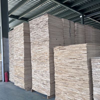 FSC 인증을 받은 파울루니아 슬레이트 (Paulownia Slats) 를 통해 가정의 장식을 업그레이드하십시오. 판매 후 서비스 포함됩니다.