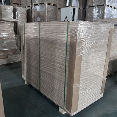 2440x1220 또는 1200x600 또는 프로젝트 솔루션 용량을 위해 사용자 정의 된 파울루니아 나무 보드