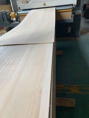 280-300kg/cbm 밀도 고형 파울루니아 목재 반품 및 교체 후 판매 서비스