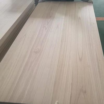 파울루니아 관장판 관장 패널
