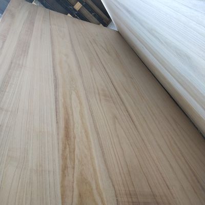 파울루니아 나무 맞춤형 크기 노트 없는 흰색 나무판 1220x2440mm